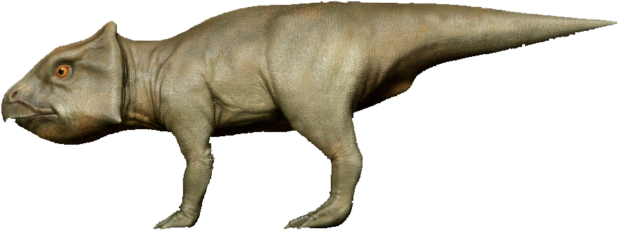 Dossier Empty Png Brontosaurus - Tyrannosaurus (897x385), Png Download