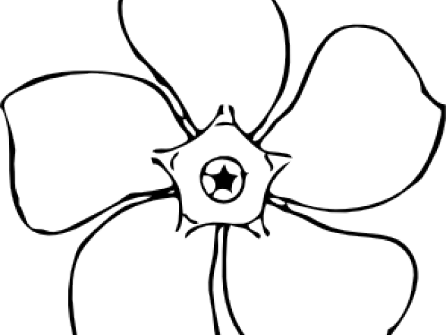 Simple Sunflower Black And White (640x480), Png Download