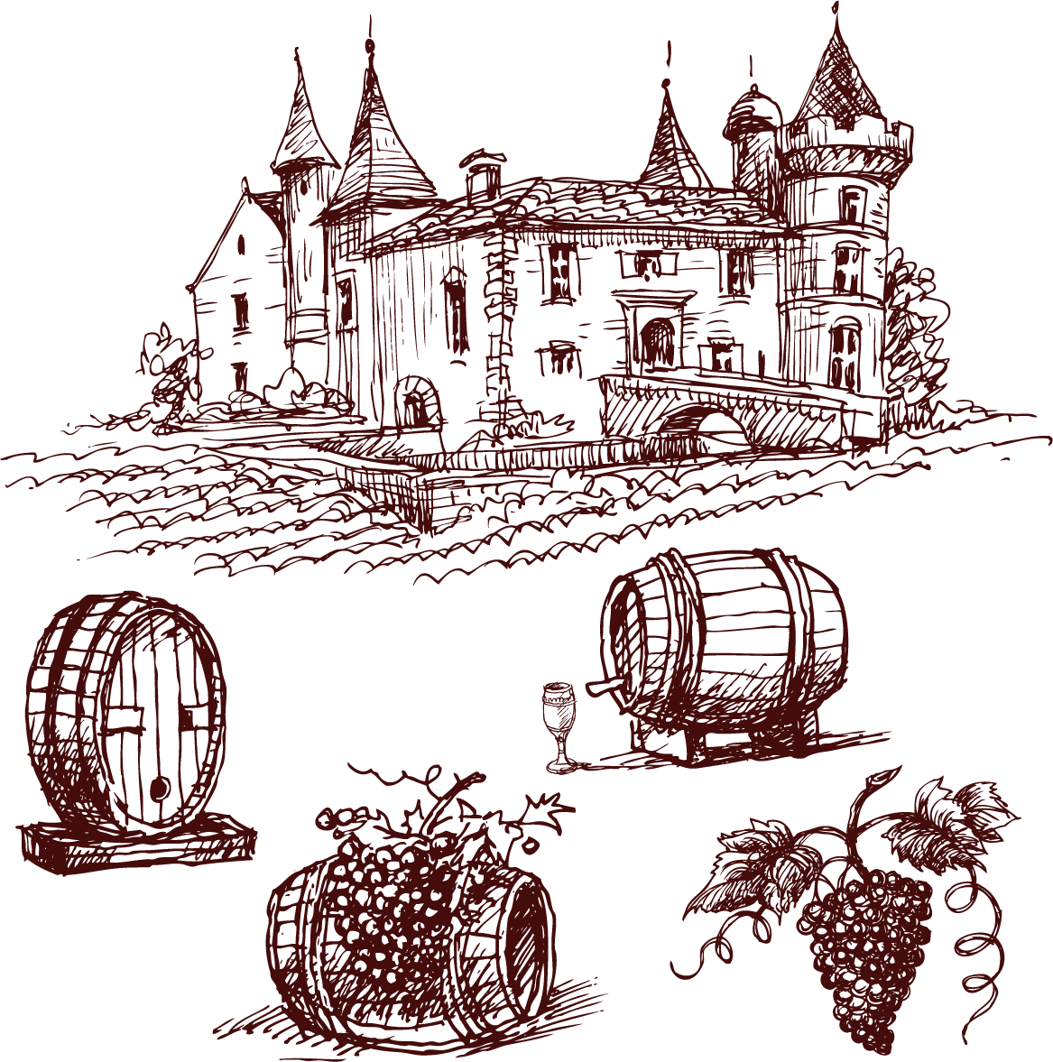 Banner Library Library Red Wine Port Common Grape Chxe - Manor Sketch Png (1167x1177), Png Download