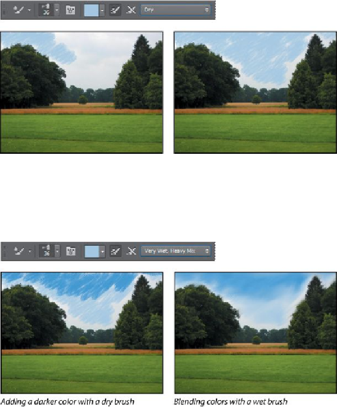 Grass To Highlight It - Grass (683x823), Png Download