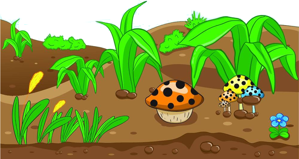 Royalty Free Art Mushrooms Transprent Royaltyfree Png - Boden Clipart (1000x707), Png Download