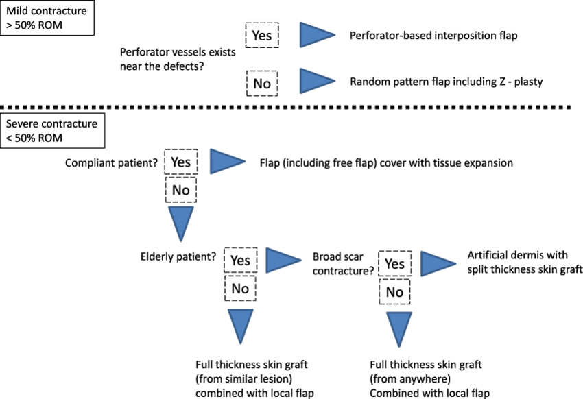 850 X 582 1 - Diagram (850x582), Png Download
