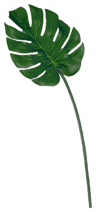 Case Editor - Topical Leaves (408x880), Png Download