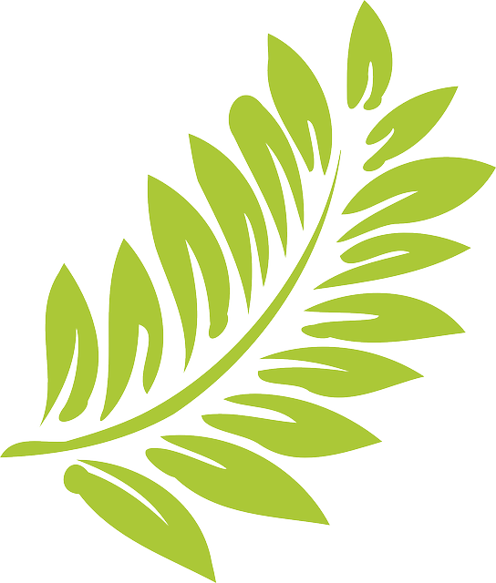 Hoja Vector Png - Hibiscus Clip Art (544x640), Png Download