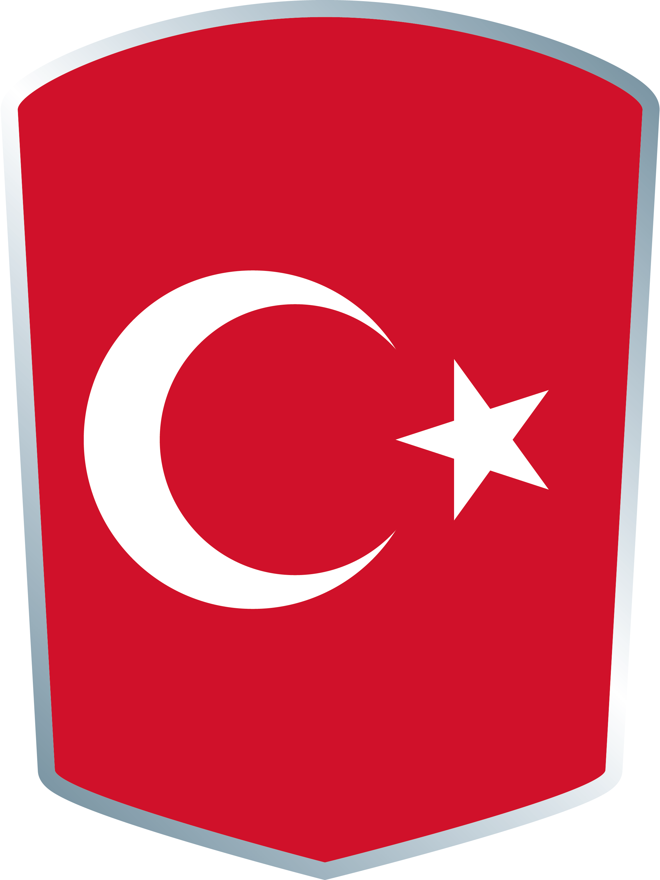 Turkey Tur - Togo Flag (2269x3024), Png Download