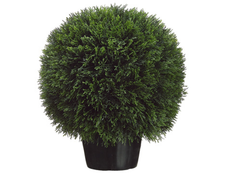 5"l Cedar Ball Topiary In Pot - Topiary (800x800), Png Download