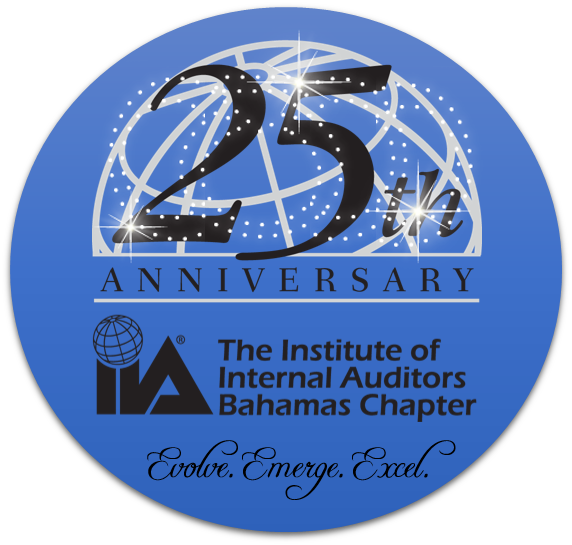 25th Anniversary Logo - Institute Of Internal Auditors (572x545), Png Download