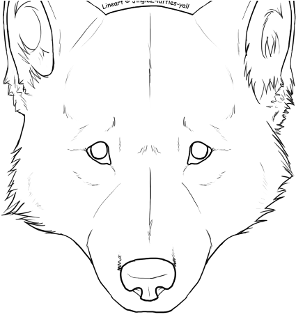640 X 480 2 - Drawing Of A Wolf Face (640x480), Png Download