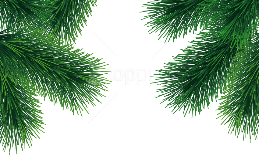 Free Png Download Fir Tree Clipart Png Photo Png Images - Christmas Tree Leaves Transparent (850x511), Png Download