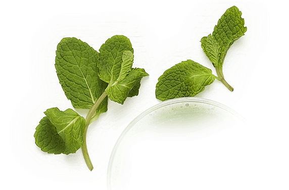 < 200 Calories - Boost Juice Transparent (760x760), Png Download