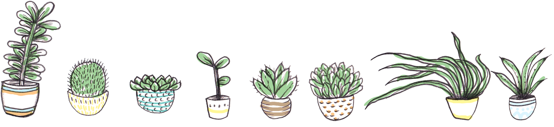 House Plant Png - Plant Banner Png (1200x294), Png Download