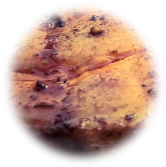 I Had Misgivings At The First Whiff Of Worcestershire - Dish (568x572), Png Download