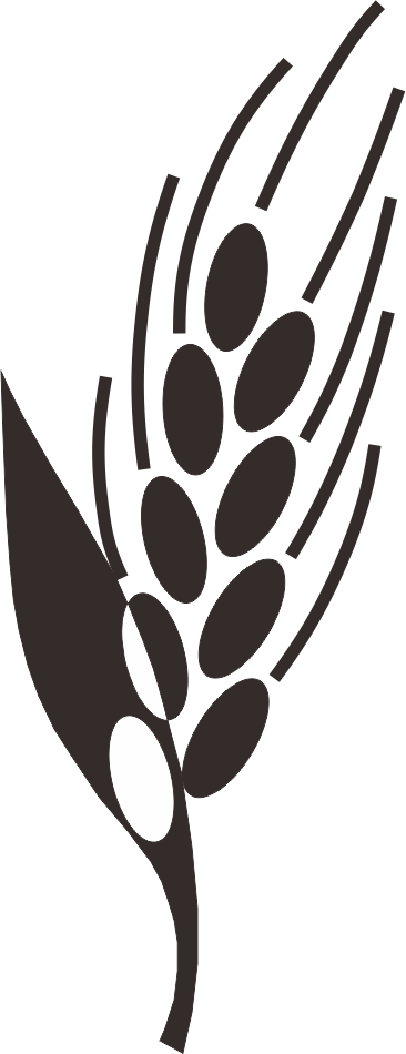 Picture Transparent Download Paddy Rice Clip Art - Rice Plant Clipart Black And White Png (366x950), Png Download