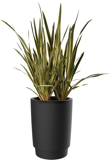Home > Collection > Pure Grade High - Flowerpot (750x750), Png Download