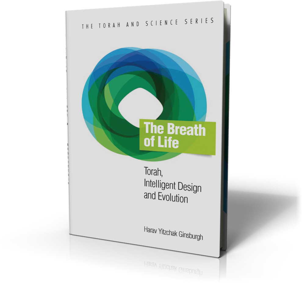 Construction Paper (1000x1000), Png Download