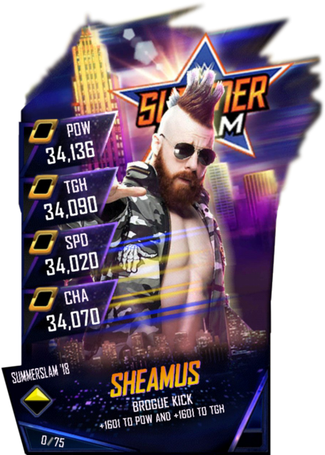Sheamus S4 21 Summerslam18 Fusion - Flyer (456x720), Png Download