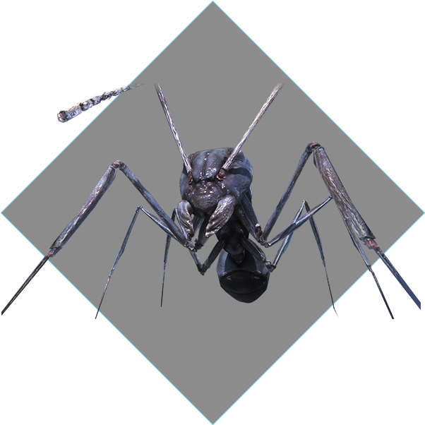 Aggressive Alien Species Α - Ant (700x700), Png Download