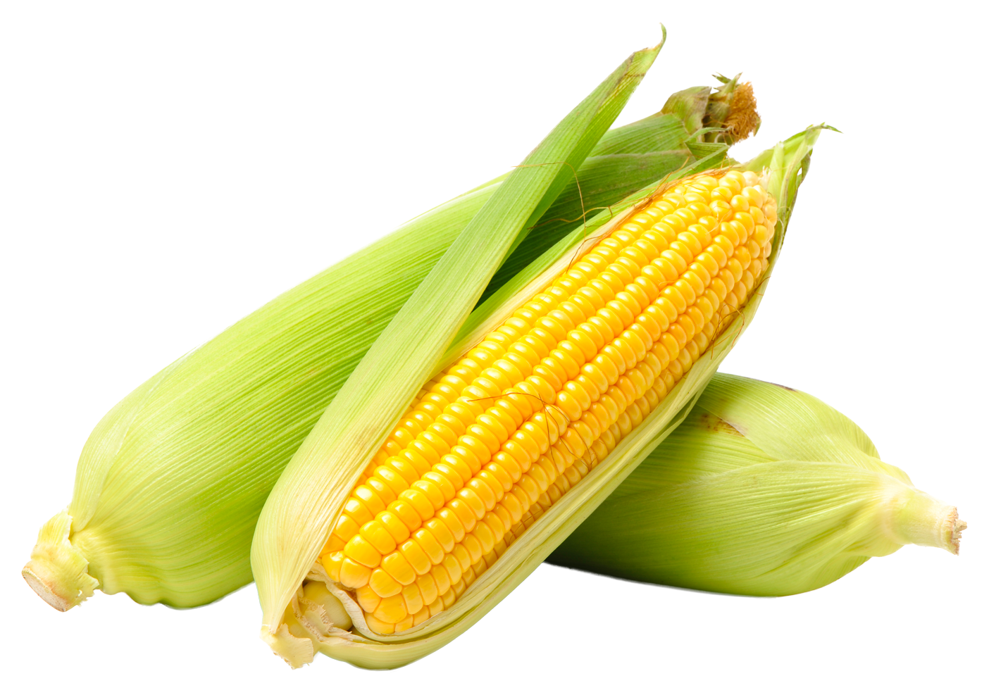 When To Buy - Stock Photo Of Corn (1404x987), Png Download