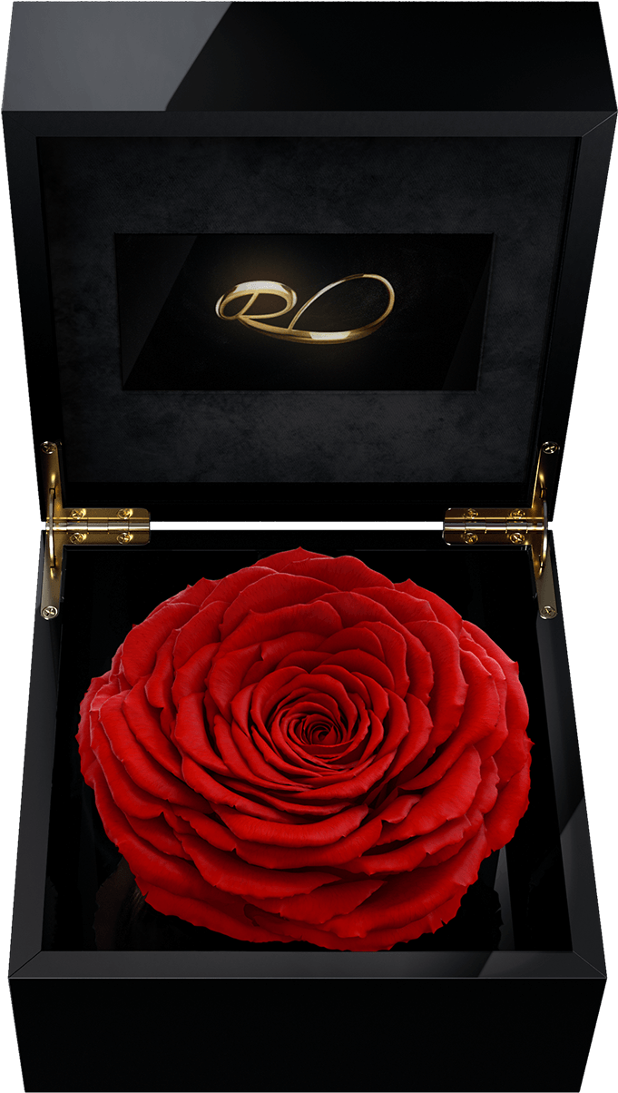 Luxury Video Flower Box Magna With A Xl Preserved Red - Rose (1500x1500), Png Download