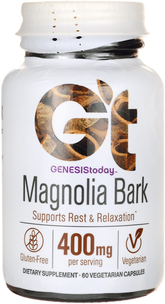 Shiitake (650x650), Png Download