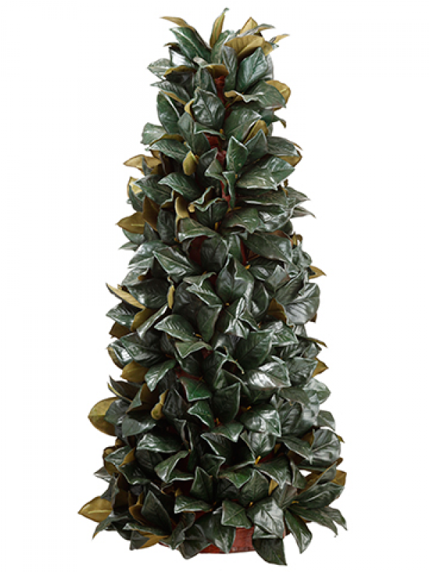 48" Magnolia Leaf Cone Topiary Green - Christmas Tree (800x800), Png Download