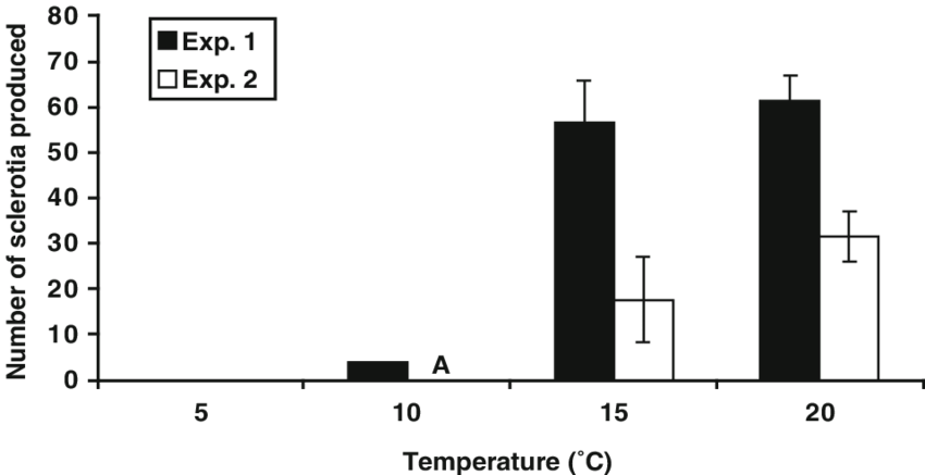 Mean Number Of Sclerotia Of Rhizoctonia Oryzae-sativae - Diagram (850x437), Png Download