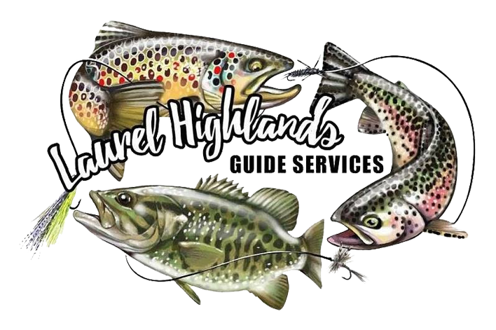 Get To Know Your Guide - Trout (734x509), Png Download