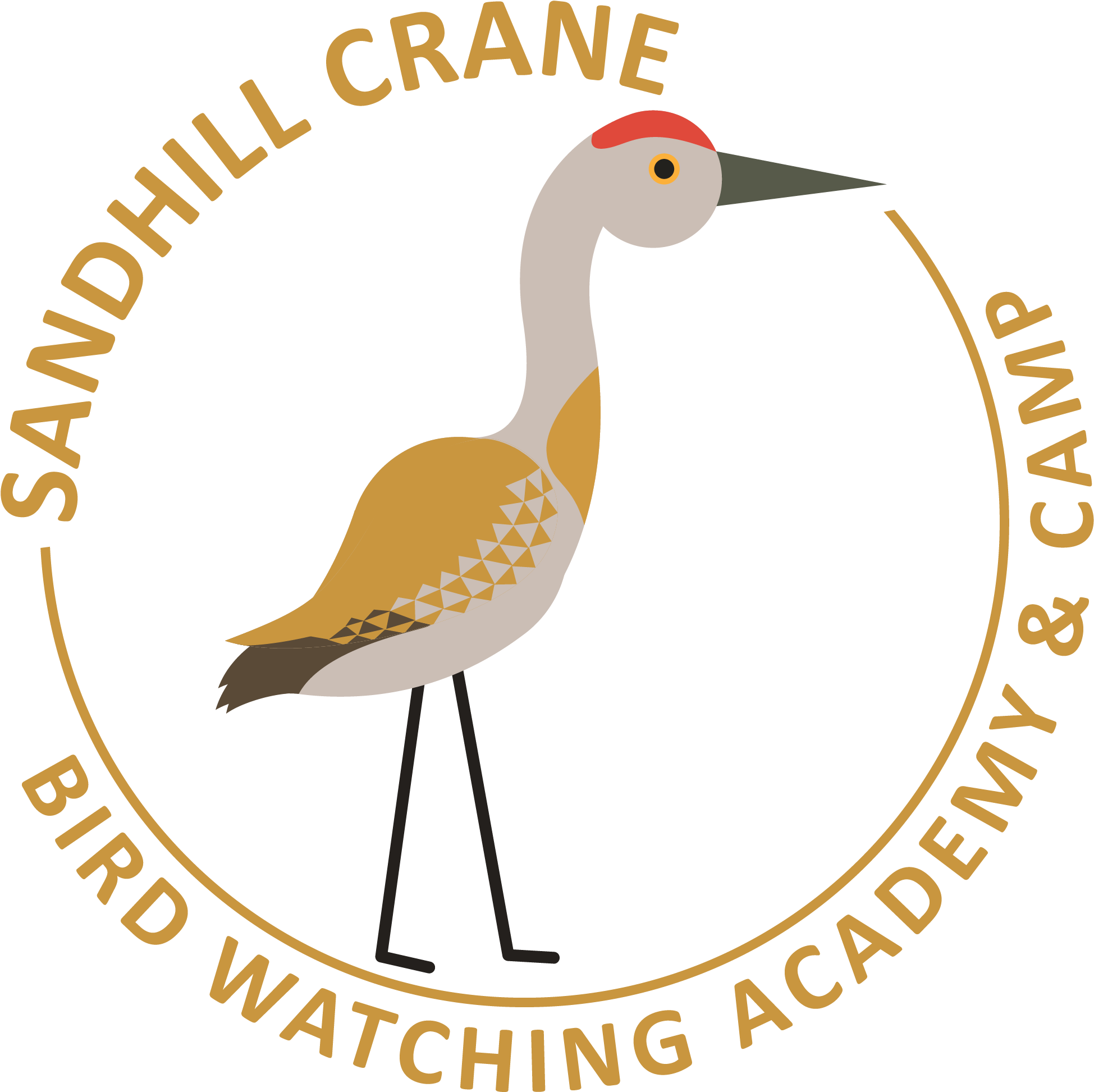 Sandhill Crane - Water Bird (2518x2543), Png Download