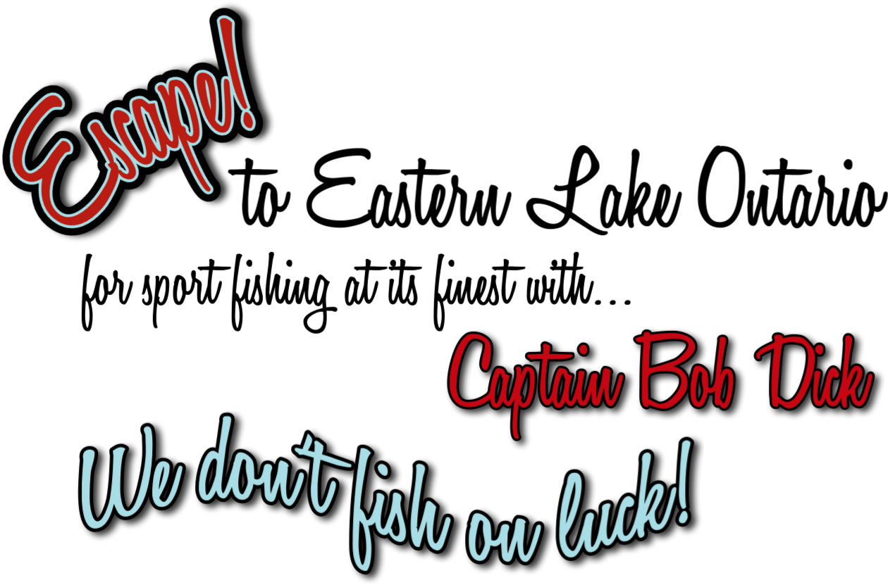 Syracuse Basketball Coach, Jim Boeheim With His 12 - Calligraphy (1280x848), Png Download