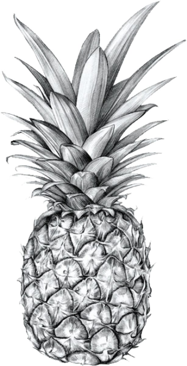 #tumblr #blackandwhite #pineapple #fruit #aesthetic - Pineapple Png (1024x1448), Png Download