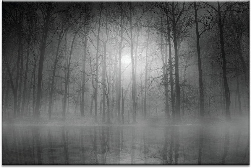 Morning Mist - Mist (900x900), Png Download