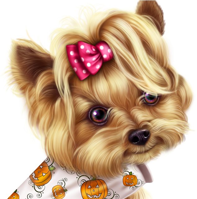 Little Pumpkin Yorkie - Dog (640x640), Png Download