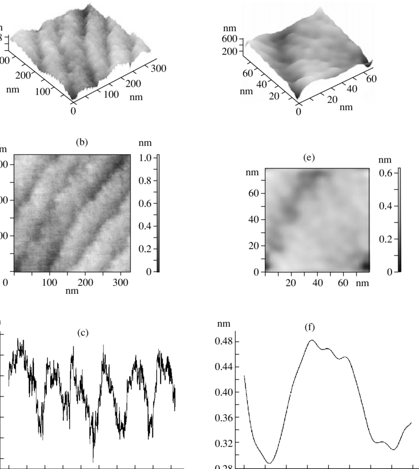 Afm Images Of { } First-order Prism Surfaces - Collage (850x952), Png Download