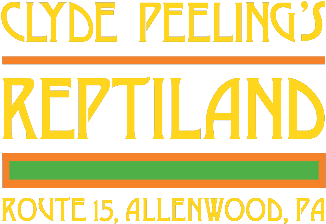 Clyde Peeling Reptiland (735x544), Png Download