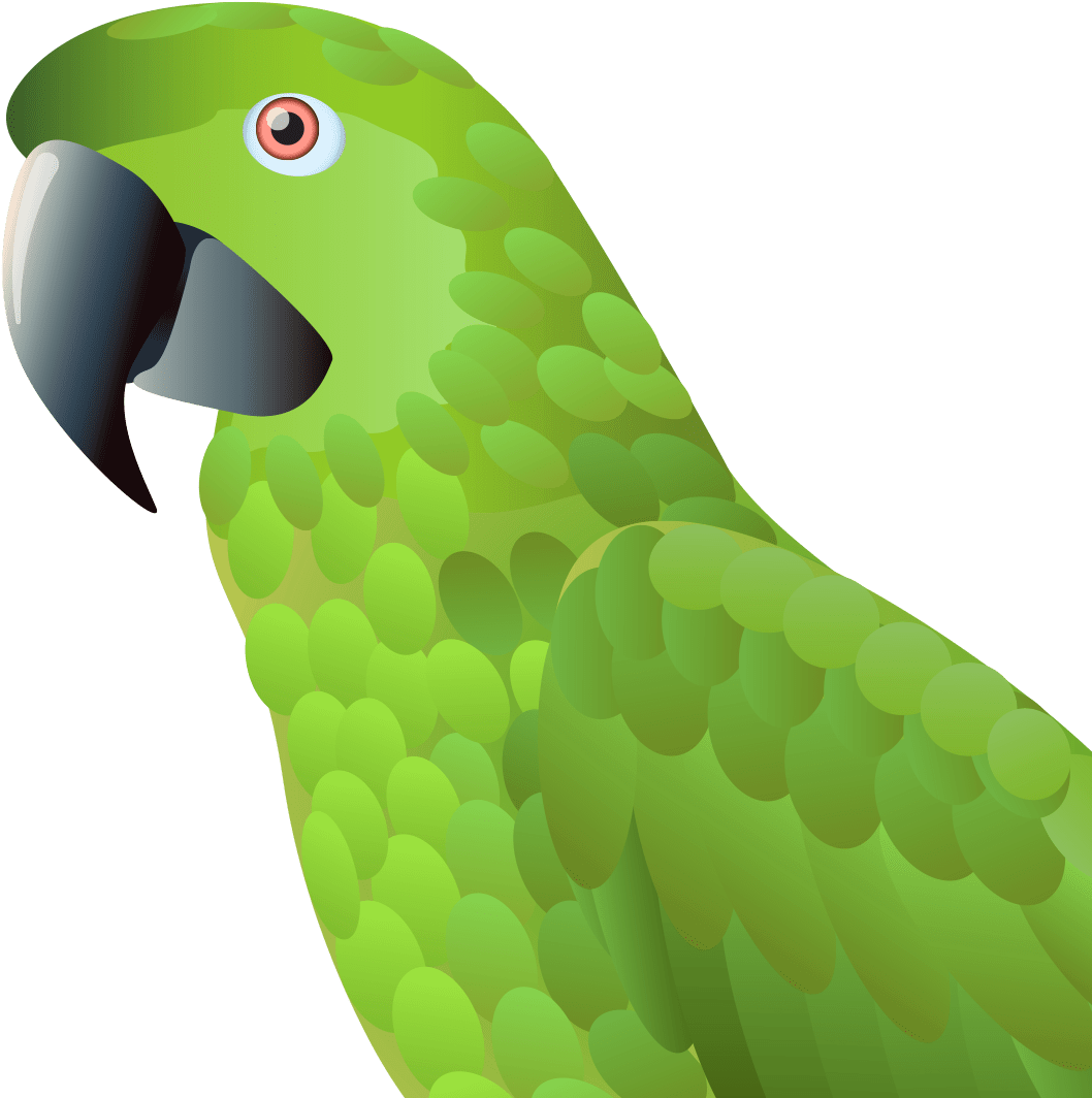 Naija Parrot - Parakeet (1107x1107), Png Download