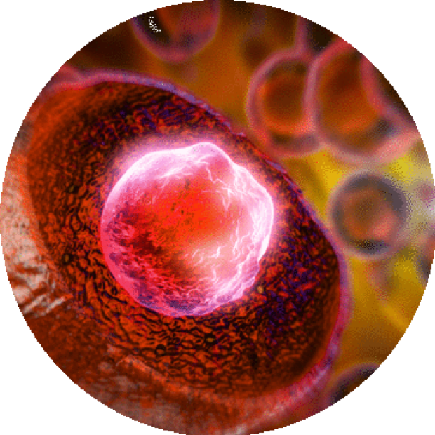 Low Risk Myelofibrosis Or High Risk Essential Thrombocythemia - Circle (620x620), Png Download