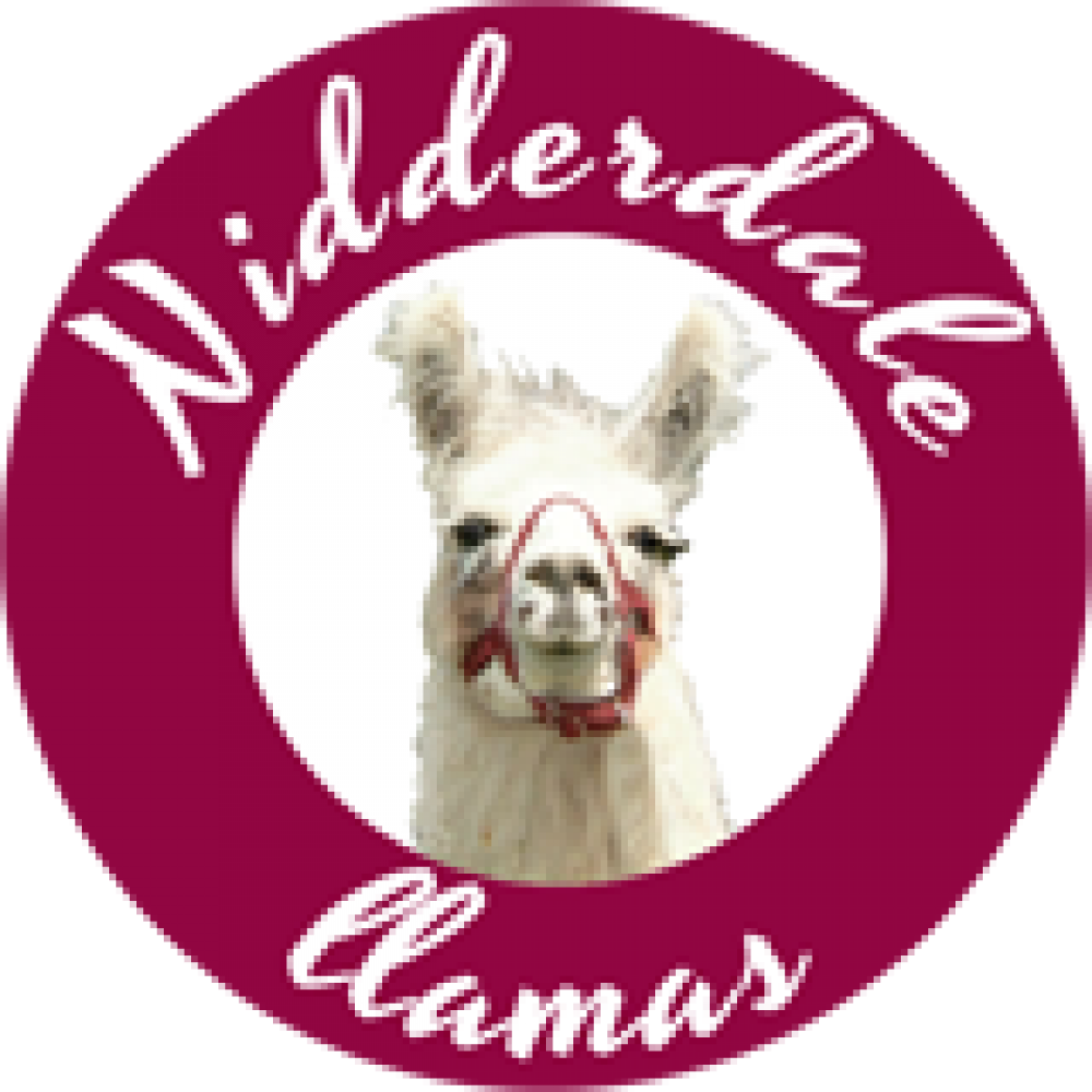 Nidderdale Llamas Nidderdale Llamas - Llama (1000x1000), Png Download