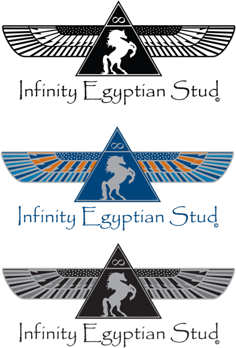 Emblem (800x746), Png Download