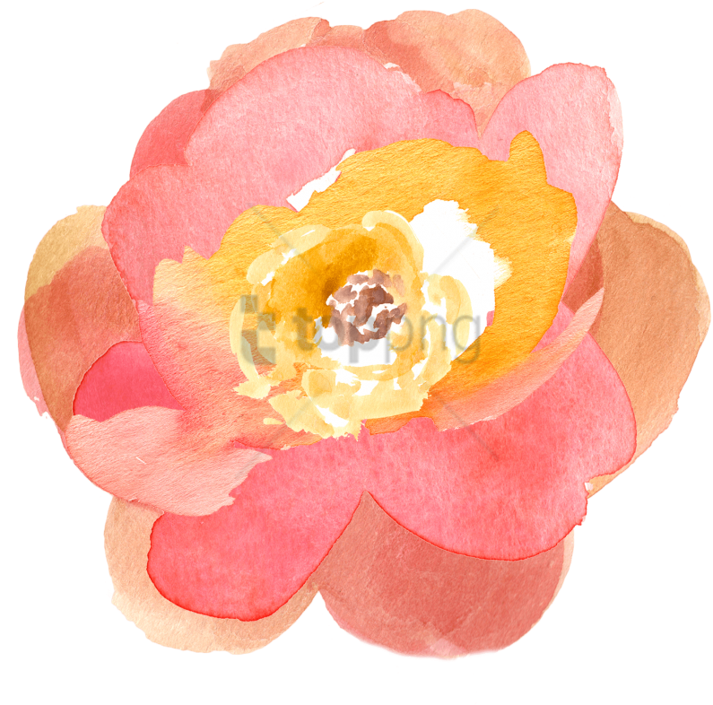 Free Png Download Transparent Watercolor Flowers Png - Flowers Watercolour Peach Pink (850x811), Png Download