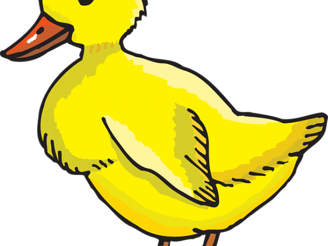 Stock Free On Dumielauxepices Net Duck Tail - Cute Duck Coloring Page (640x480), Png Download