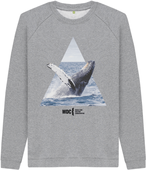 Humpback Whale Sweatshirt - Sweatshirt (640x674), Png Download