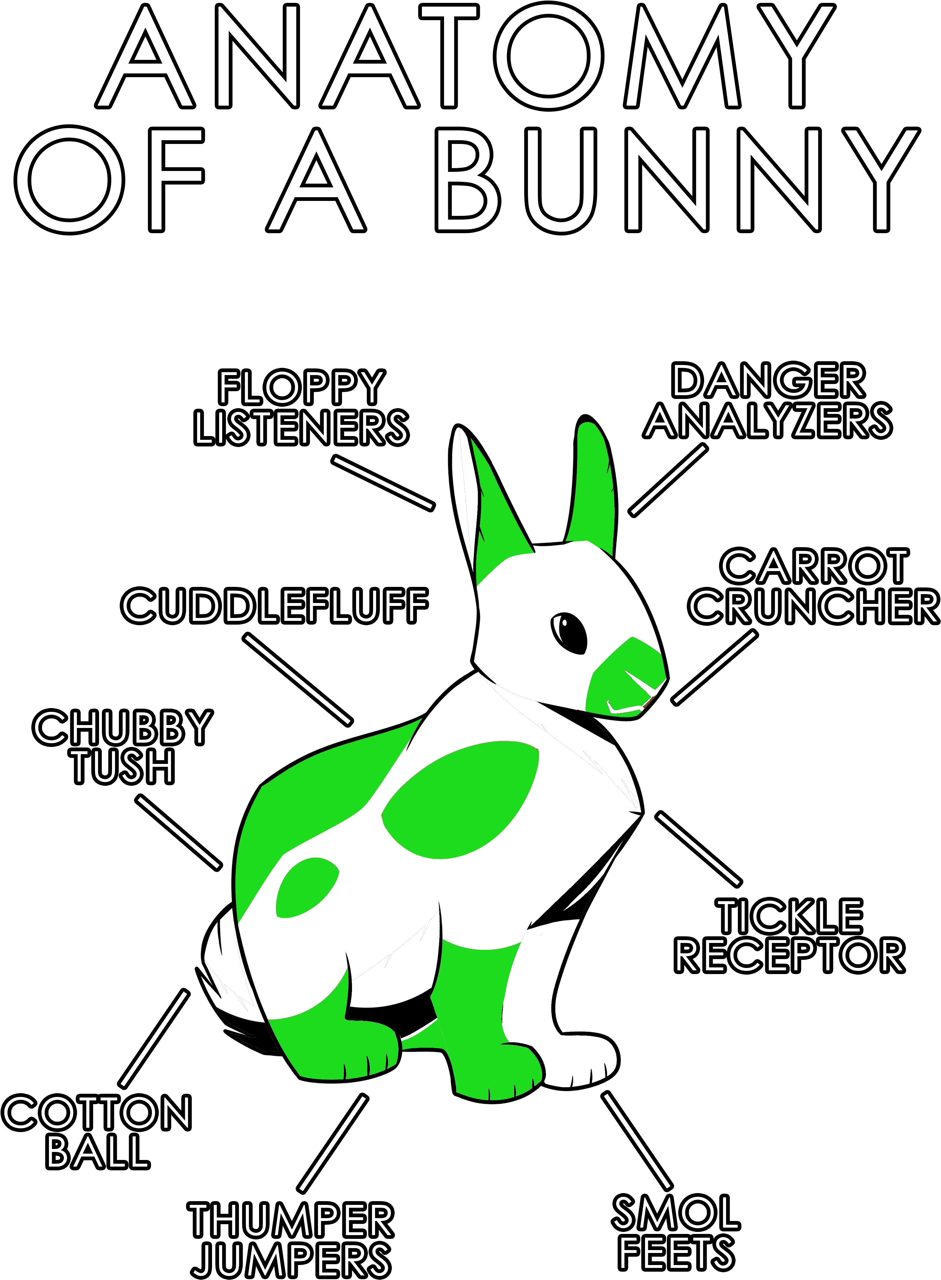 Anatomy Of A Bunny - Domestic Rabbit (3630x4950), Png Download