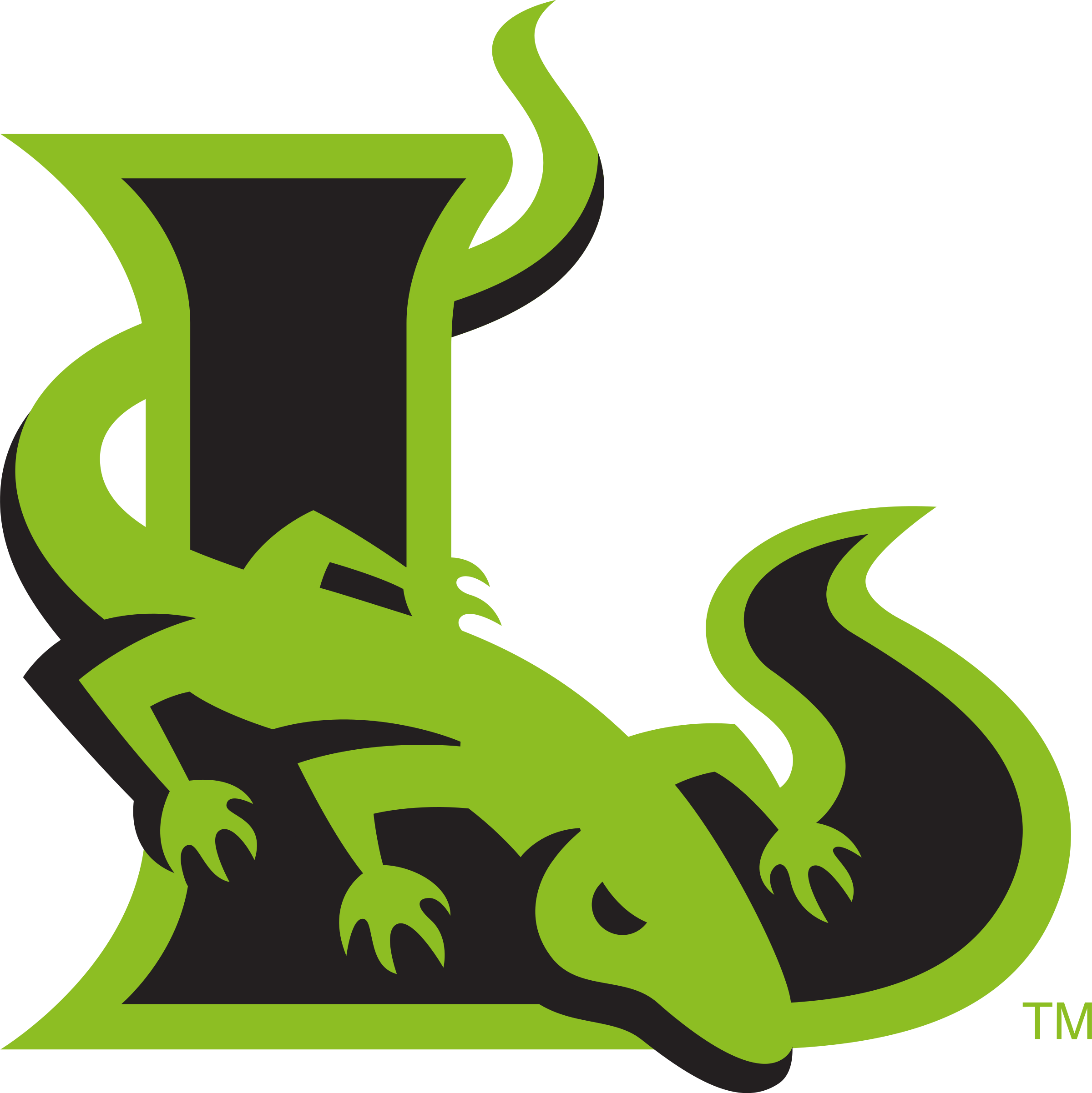 New York Lizards Logo Png Transparent - Lizards Lacrosse (2400x2404), Png Download