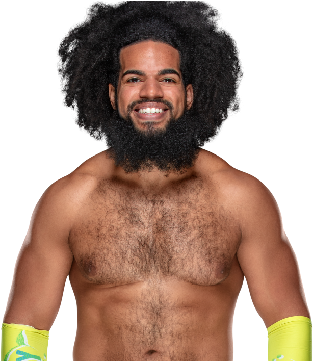 Snap No Way Jose Pro Wrestling Fandom Powered By Wikia - Chest Hair (1000x707), Png Download