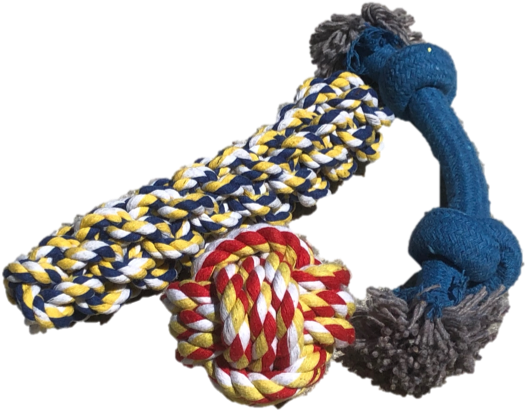 Paisley Paws Three Toy Rope Pack - Bracelet (633x487), Png Download