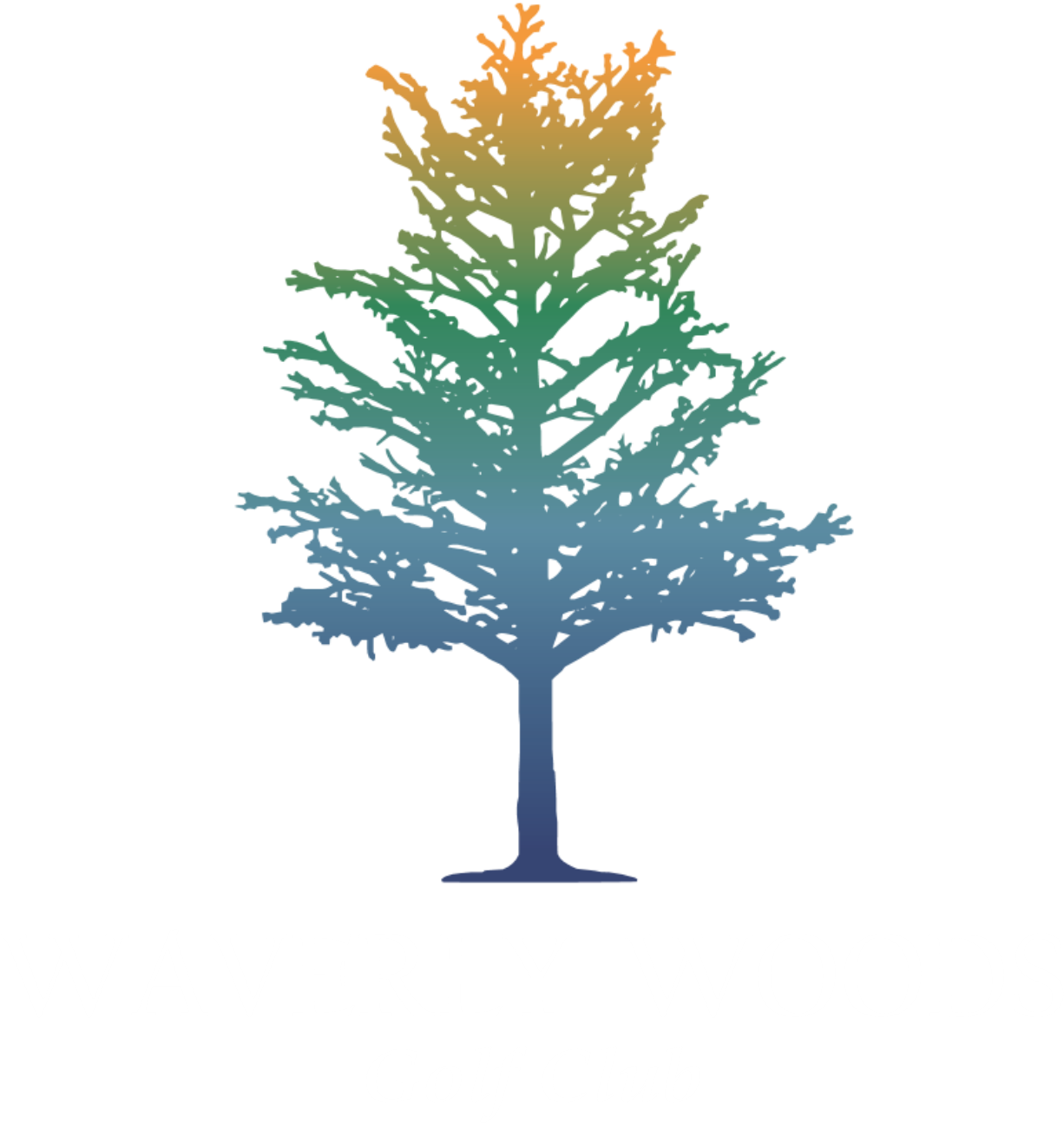 Fir (1226x1294), Png Download