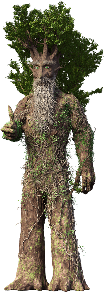 Products - Lodgepole Pine (641x1025), Png Download