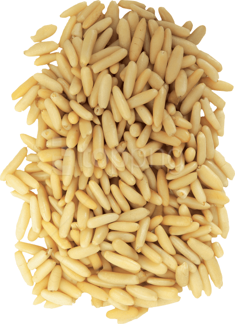 Download Wheat Png Images Background - Rice (480x660), Png Download