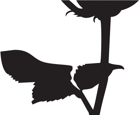 Bush Clipart Silhouette - Rose Clipart For Silhouette (640x480), Png Download