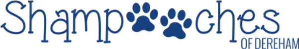 20% Off - Paw (600x400), Png Download